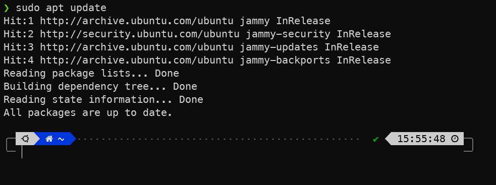 A glimpse of a the Zsh prompt after running sudo apt update on it.