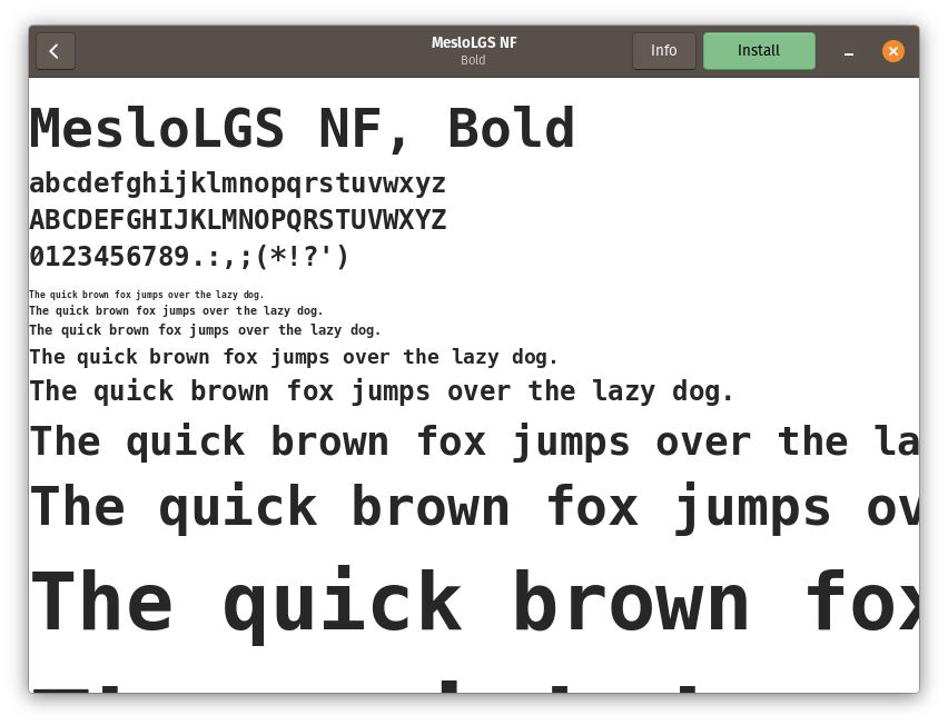 Installing the fontMesloLGS NF onto the system.